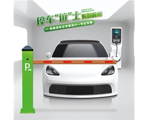 阳信RG-CW系列车位小道闸